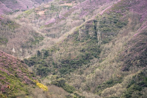 Comment orchestrer un plan de succession dans une entreprise de haute technologie en forte croissance?