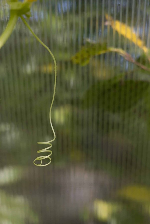 Quelles sont les meilleures approches pour les entreprises de nettoyage pour offrir des services adaptés aux allergies et sensibilités chimiques ?